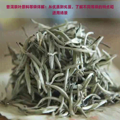 普洱茶叶原料等级详解：从优质到劣质，了解不同等级的特点和适用场景