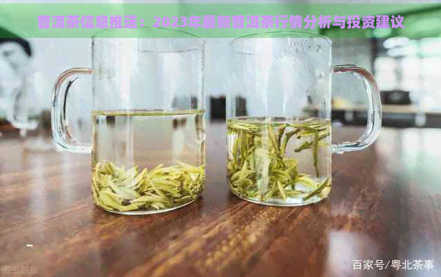 普洱茶信息推送：2023年最新普洱茶行情分析与投资建议