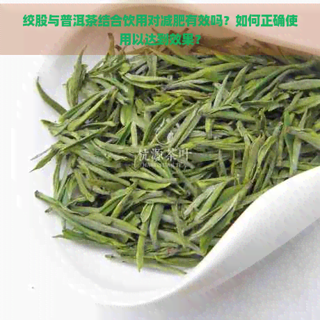 绞股与普洱茶结合饮用对减肥有效吗？如何正确使用以达到效果？