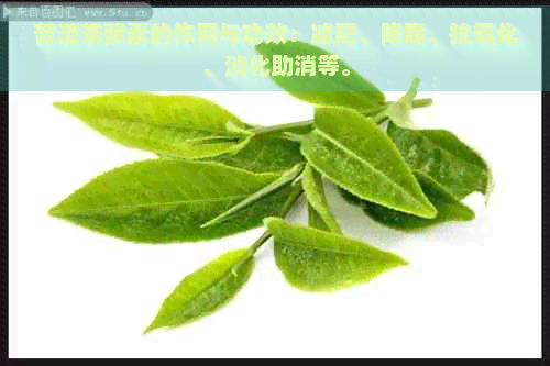 普洱茶酵素的作用与功效：减肥、降脂、抗氧化、消化助消等。