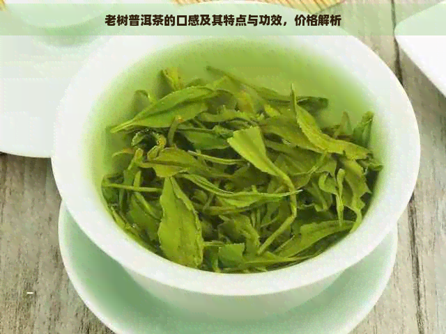 老树普洱茶的口感及其特点与功效，价格解析