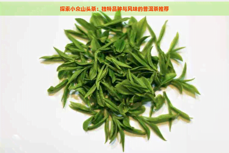 探索小众山头茶：独特品种与风味的普洱茶推荐