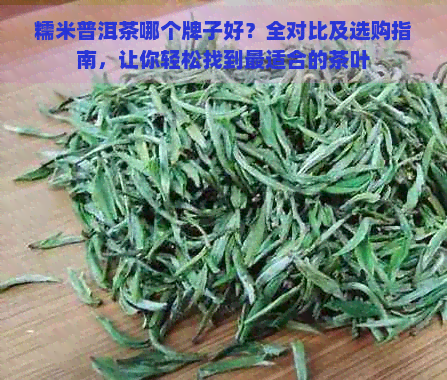 糯米普洱茶哪个牌子好？全对比及选购指南，让你轻松找到最适合的茶叶