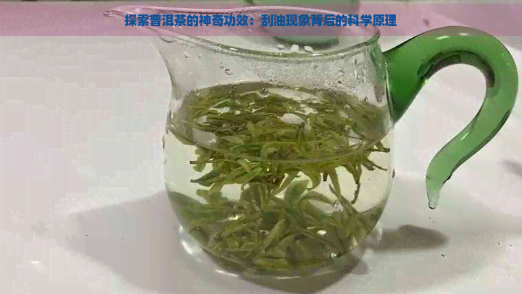 探索普洱茶的神奇功效：刮油现象背后的科学原理