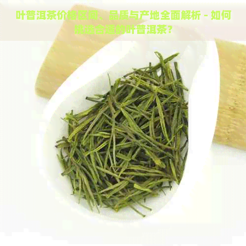 叶普洱茶价格区间、品质与产地全面解析 - 如何挑选合适的叶普洱茶？