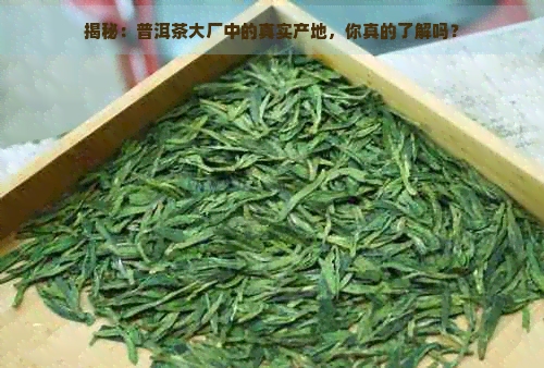 揭秘：普洱茶大厂中的真实产地，你真的了解吗？