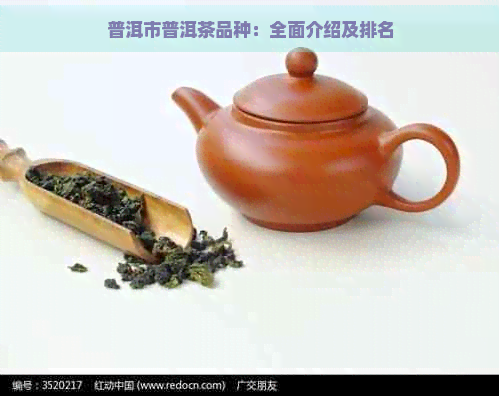 普洱市普洱茶品种：全面介绍及排名