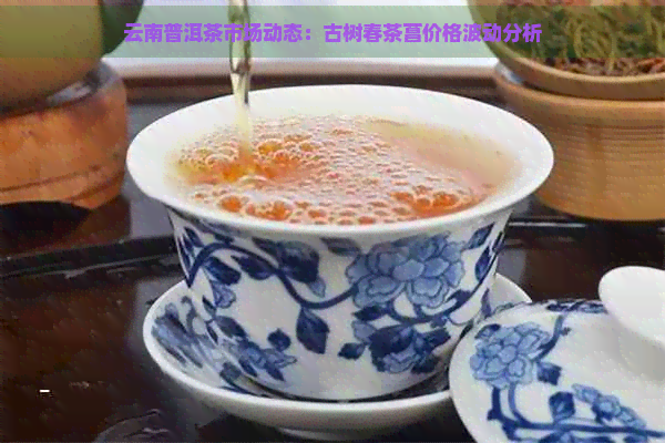 云南普洱茶市场动态：古树春茶菖价格波动分析