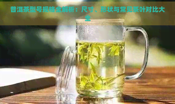 普洱茶型号规格全解析：尺寸、形状与常见茶叶对比大全