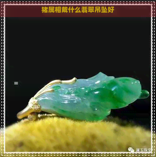 猪属相戴什么翡翠吊坠好