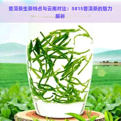 普洱茶生茶特点与云南对比：5815普洱茶的魅力解析