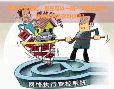 新网贷逾期后，现在可以一期一次性还款吗？协商分期还款可行吗？