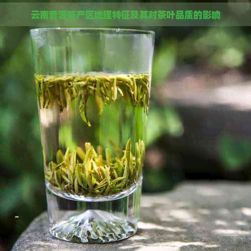 云南普洱茶产区地理特征及其对茶叶品质的影响