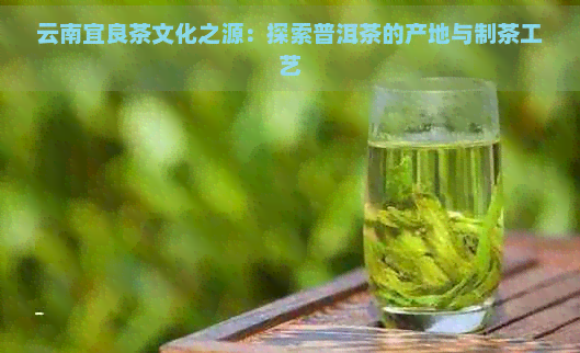 云南宜良茶文化之源：探索普洱茶的产地与制茶工艺