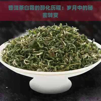 普洱茶白霜的醇化历程：岁月中的秘密转变