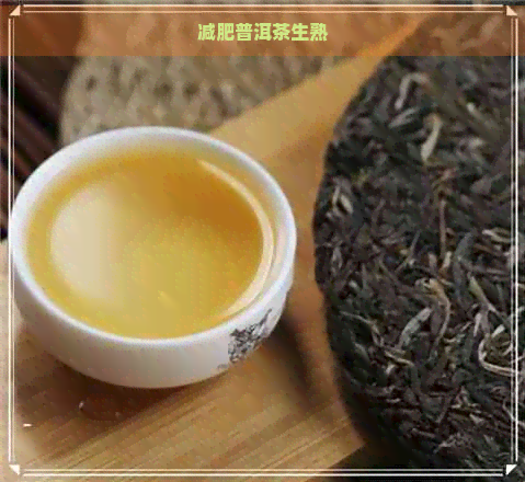 减肥普洱茶生熟