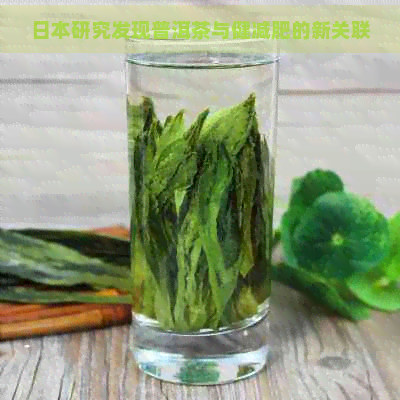 研究发现普洱茶与健减肥的新关联