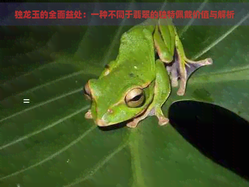 独龙玉的全面益处：一种不同于翡翠的独特佩戴价值与解析