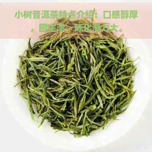 小树普洱茶特点介绍：口感醇厚，回生津，陈化潜力大。