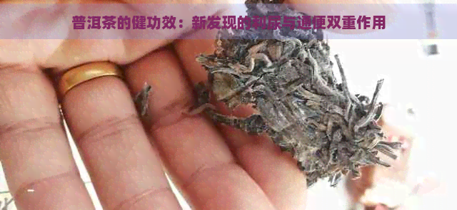 普洱茶的健功效：新发现的利尿与通便双重作用