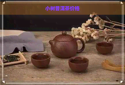 小树普洱茶价格