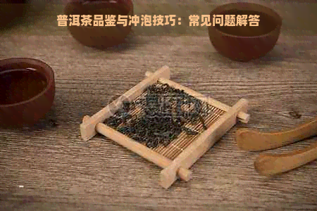 普洱茶品鉴与冲泡技巧：常见问题解答