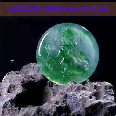 独龙玉贡手镯：璀璨珍宝的魅力与价格之谜