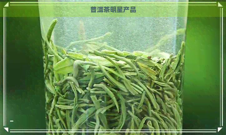 普洱茶明星产品