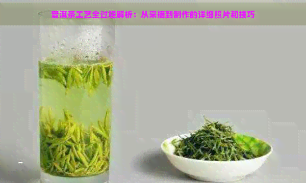 普洱茶工艺全过程解析：从采摘到制作的详细照片和技巧