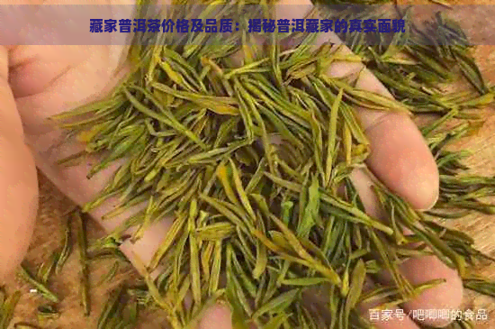 藏家普洱茶价格及品质：揭秘普洱藏家的真实面貌