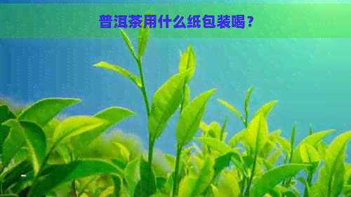 普洱茶用什么纸包装喝？