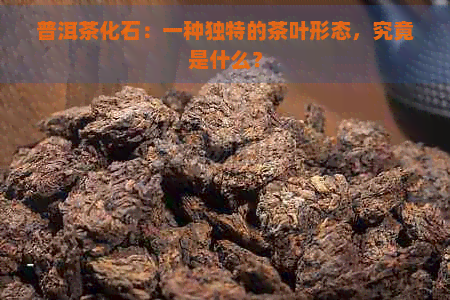 普洱茶化石：一种独特的茶叶形态，究竟是什么？