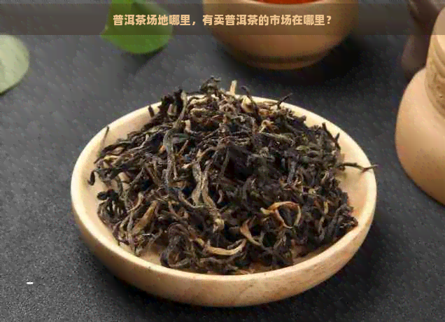 普洱茶场地哪里，有卖普洱茶的市场在哪里？