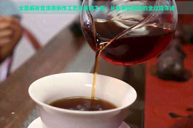 全面解析普洱茶制作工艺与关键工序：从生茶到熟茶的全过程详述