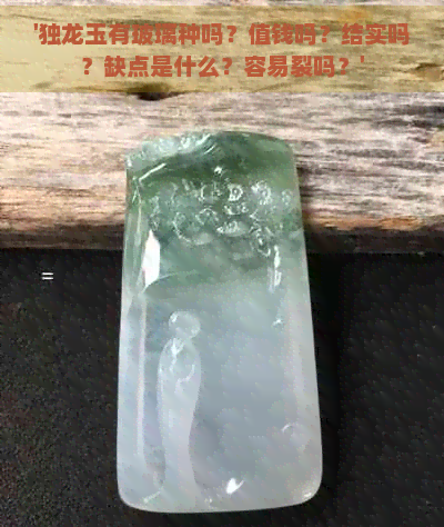 '独龙玉有玻璃种吗？值钱吗？结实吗？缺点是什么？容易裂吗？'