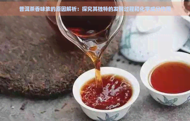 普洱茶香味浓的原因解析：探究其独特的发酵过程和化学成分作用