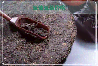 洱普洱茶价格