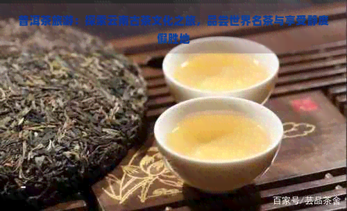 普洱茶旅游：探索云南古茶文化之旅，品尝世界名茶与享受静度假胜地