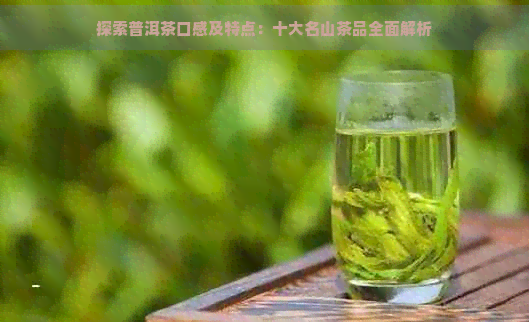 探索普洱茶口感及特点：十大名山茶品全面解析