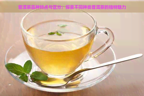 普洱茶品种特点与区分：探索不同种类普洱茶的独特魅力