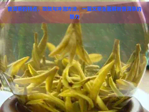 普洱茶的特点、功效与冲泡方法，一篇文章全面解析普洱茶的魅力