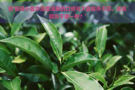 新'使用小壶冲泡普洱茶的口感与大壶有所不同，你更倾向于哪一种？'