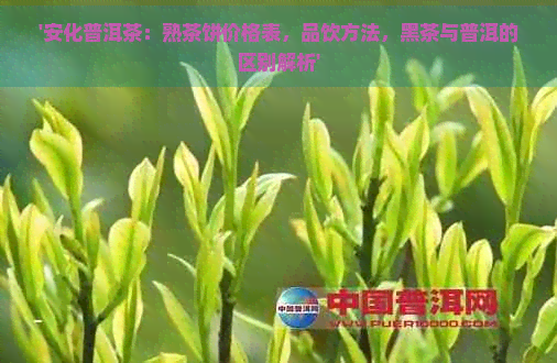 '安化普洱茶：熟茶饼价格表，品饮方法，黑茶与普洱的区别解析'