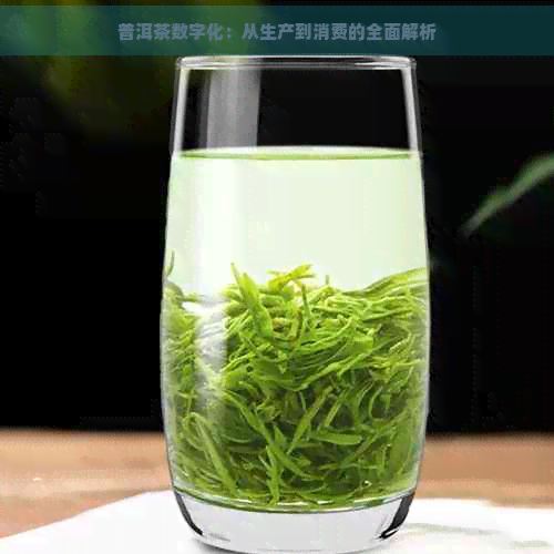 普洱茶数字化：从生产到消费的全面解析