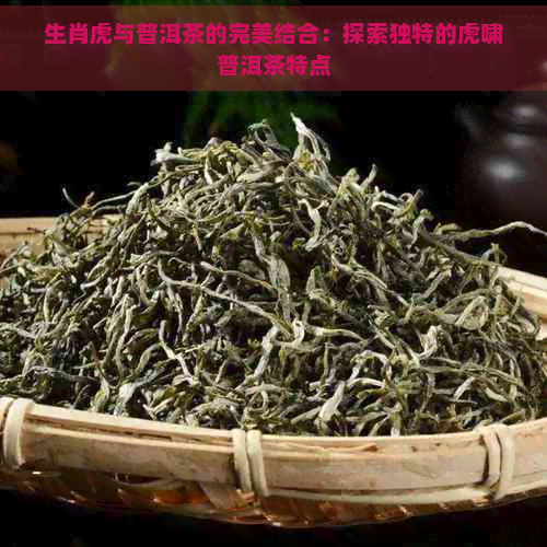 生肖虎与普洱茶的完美结合：探索独特的虎啸普洱茶特点