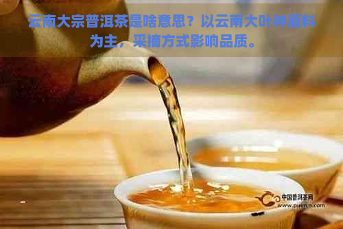 云南大宗普洱茶是啥意思？以云南大叶种原料为主，采摘方式影响品质。