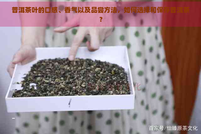 普洱茶叶的口感、香气以及品尝方法，如何选择和保存普洱茶？