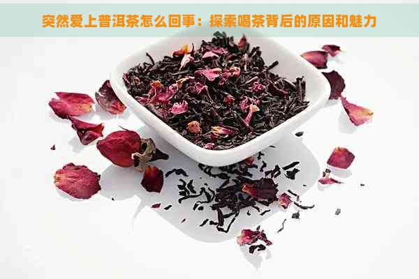 突然爱上普洱茶怎么回事：探索喝茶背后的原因和魅力