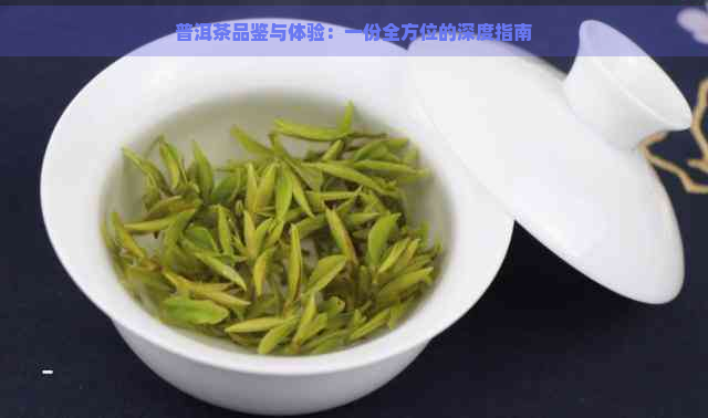 普洱茶品鉴与体验：一份全方位的深度指南