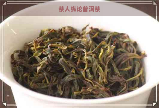 茶人纵论普洱茶